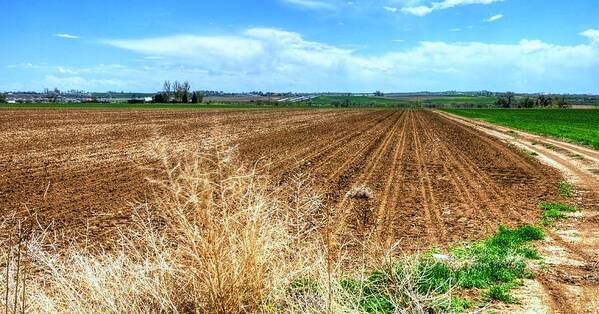 Ag Poster featuring the photograph Ready To Grow 14658 by Jerry Sodorff