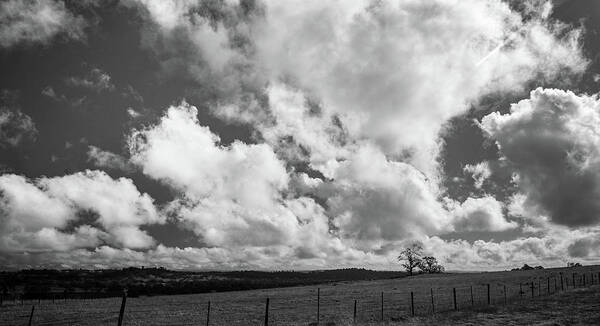 Agriculture Poster featuring the photograph Cattle Ranch Sky #1 by Mike Fusaro