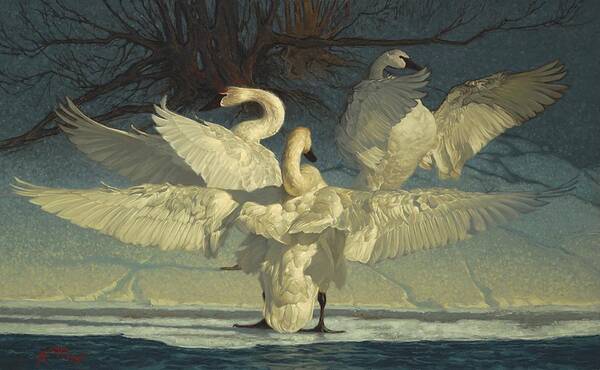 Swan Poster featuring the painting The Maestros by Greg Beecham