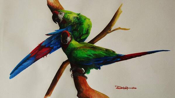 Paintings Poster featuring the painting Military Macaws by Dana Newman