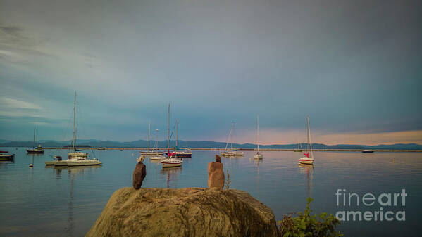 Lake Poster featuring the photograph Lake Champlain in the evening by Agnes Caruso