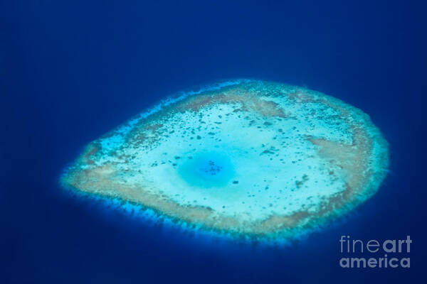 Aerial Poster featuring the photograph Aerial view of faro island in the Maldives by Matteo Colombo