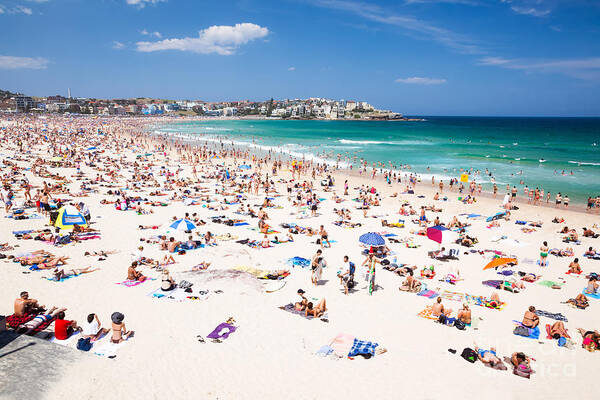 Sydney Poster featuring the photograph New year's day at Bondi beach Sydney Australi by Matteo Colombo