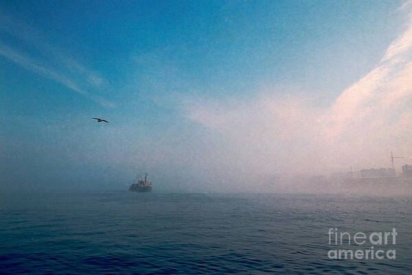  Poster featuring the photograph Out Morning At Sea by Evgeniy Lankin