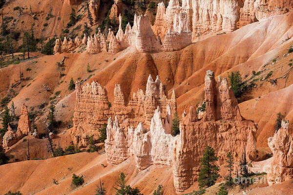 Bryce Canyon Poster featuring the photograph Morning in Bryce Canyon #2 by Agnes Caruso