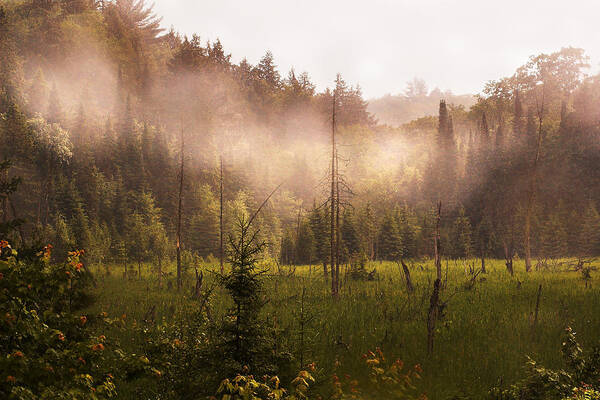 Algonquin Park Poster featuring the photograph Afternoon Mist by Linda McRae