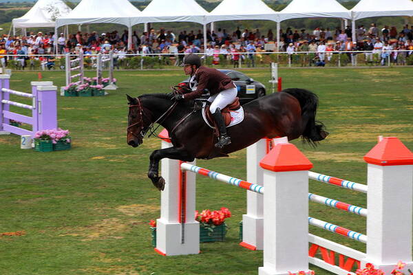 Events Poster featuring the photograph Equestrian Jumping by Robert McKinstry