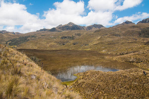 Lakes Poster featuring the photograph Parque Cajas Lakes and Mountains, Ecuador by Robert McKinstry