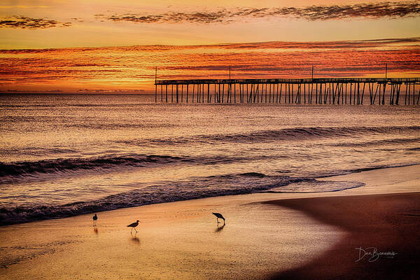 Outer Banks Poster featuring the photograph Nags Head Pier Dawn #7880 by Dan Beauvais