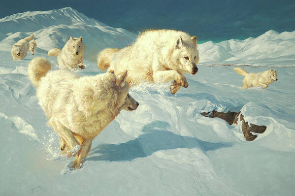 Arctic Wolf Painting Poster featuring the painting The Marauders by Greg Beecham