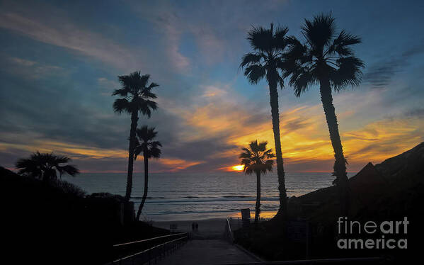 Sunset Poster featuring the photograph Palms at sunset by Agnes Caruso