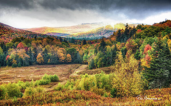 Fall Poster featuring the photograph Autumn Meadow and Mountains 7337 by Dan Beauvais