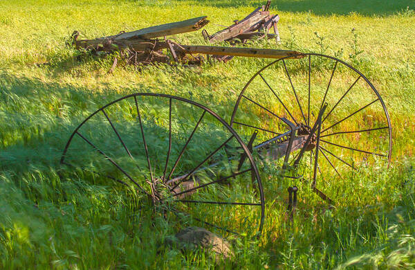 Landscape Poster featuring the photograph Old Wagon Axle by Marc Crumpler