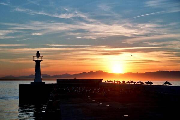 Kalk Bay Harbour; Kalk Bay; Ocean; Sea; Boats; Fishing; Water; Fish; Jetty Art; Stunning; Photos; Pics; Jetty; Cape Town; Colour; Colourful; Andrew Hewett; Artistic; Artwork; Prints; Interior; Quality; Inspirational; Fishing Boats; Decorative; Images; Creative; Beautiful; Exhibition; Lovely; Seascapes; Awesome; Boat; Fishing Boats; Wonderful; Light; Harbour Photography; Harbor; Decor; Interiors; Andrew Hewett; Water; Https://waterlove.co.za/; Https://hewetttinsite.co.za/ Poster featuring the photograph Gulls Paradise by Andrew Hewett