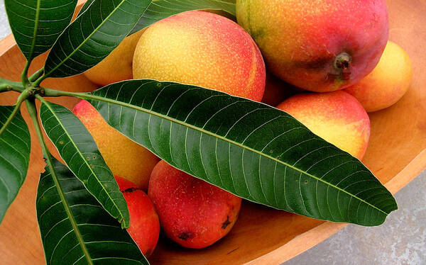 Mango Poster featuring the photograph Sweet Molokai Mango by James Temple