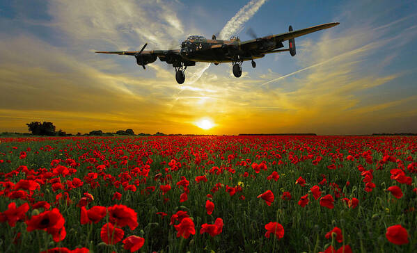 Wwii Poster featuring the digital art Field of the Fallen by Mark Donoghue