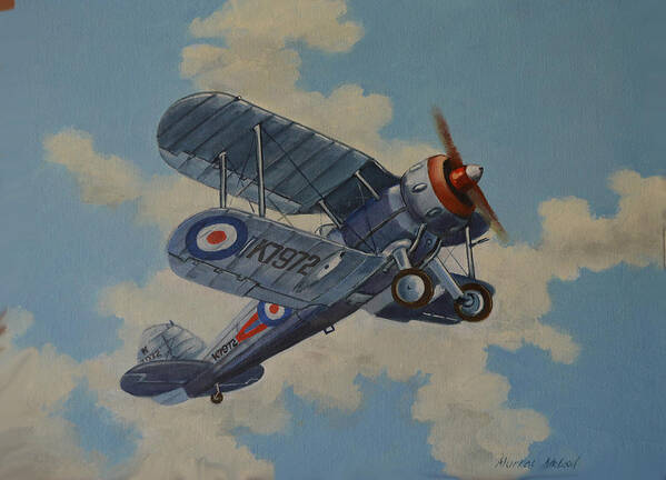 Aviation Art Poster featuring the painting Peacetime Gladiator by Murray McLeod