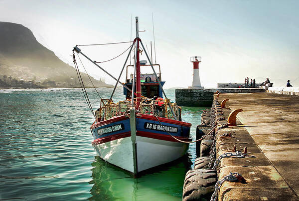 Kalk Bay Harbour; Kalk Bay; Ocean; Sea; Boats; Fishing; Water; Fish; Jetty Art; Stunning; Photos; Pics; Jetty; Cape Town; Colour; Colourful; Andrew Hewett; Artistic; Artwork; Prints; Interior; Quality; Inspirational; Fishing Boats; Decorative; Images; Creative; Beautiful; Exhibition; Lovely; Seascapes; Awesome; Boat; Fishing Boats; Wonderful; Light; Harbour Photography; Harbor; Decor; Interiors; Andrew Hewett; Water; Https://waterlove.co.za/; Https://hewetttinsite.co.za/ Poster featuring the photograph Crayfish Offload by Andrew Hewett
