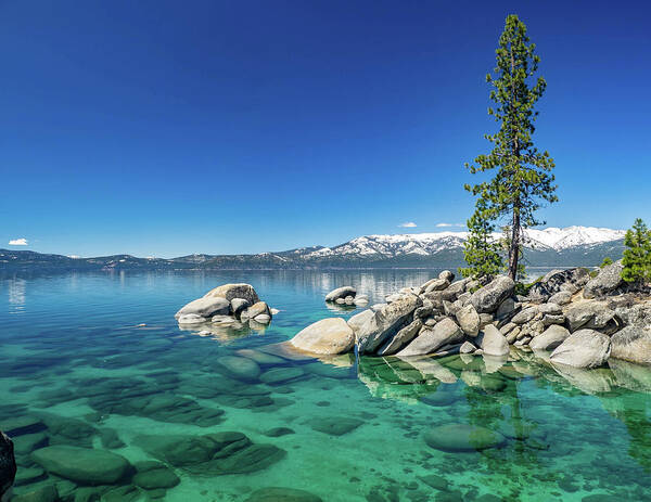 Lake Poster featuring the photograph Clear Water #1 by Martin Gollery