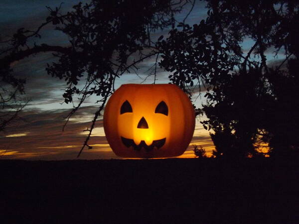 A Hanging Pumpkin At Sunset On 10/17/13 Poster featuring the photograph The Hanging Pumpkin by Rebecca Cearley