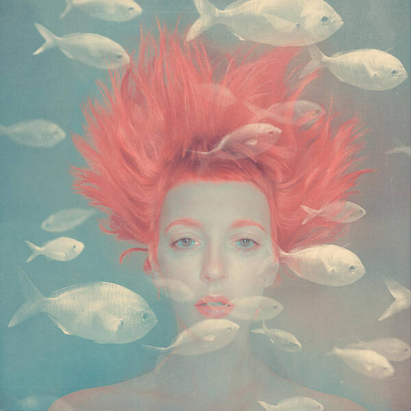 Dream Poster featuring the photograph My imaginary fishes by Anka Zhuravleva