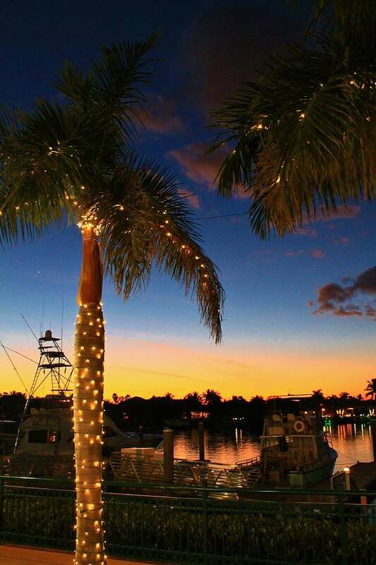 Jupiter Poster featuring the photograph Docks at Dusk by Catie Canetti