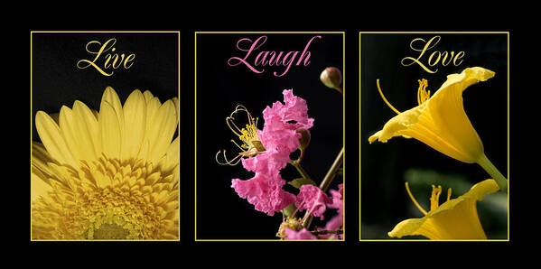 Yellow Poster featuring the photograph Pink and Yellow Flowers by Jessica Wakefield