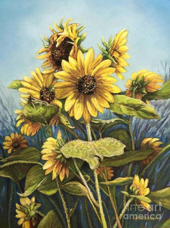Sunflower Poster featuring the pastel Summertime Sunflowers by Wendy Koehrsen
