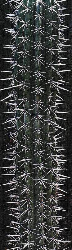 Cactus Spines Poster featuring the photograph Cactus Spines by Tom Janca