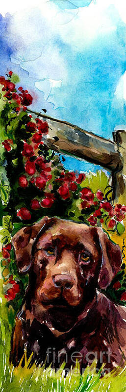 Chocolate Labrador Retriever Poster featuring the painting Chocolate Raspberry Fields by Molly Poole