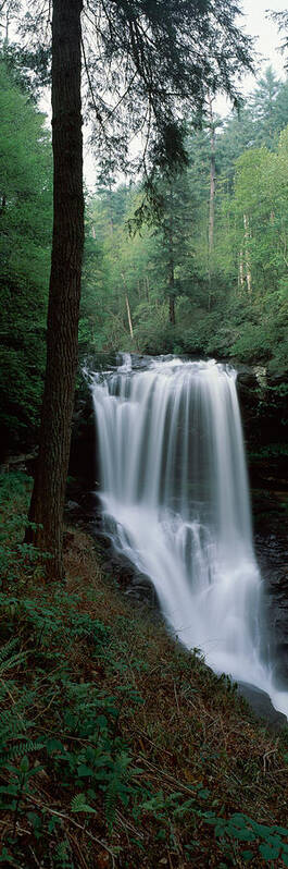 Photography Poster featuring the photograph Waterfall In A Forest, Dry Falls by Panoramic Images