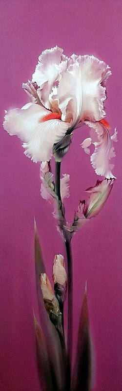 Russian Artists New Wave Poster featuring the painting Pink Iris by Alina Oseeva