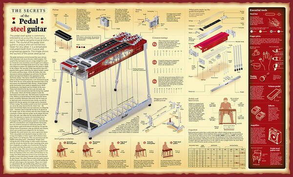 Pedal Steel Guitar Poster featuring the digital art Secrets of the Pedal steel guitar wall chart by Andras Dancsak