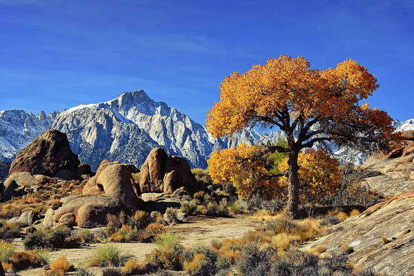 Whitney Poster featuring the photograph Mount Whitney by Lawrence Knutsson