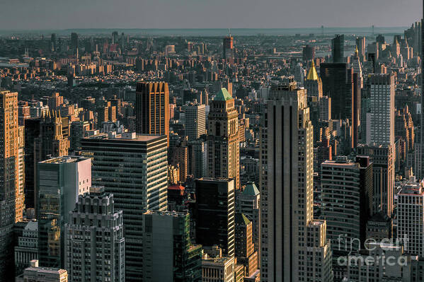 Landscape Poster featuring the photograph Skyscrapers lit at sunset by Franz Zarda