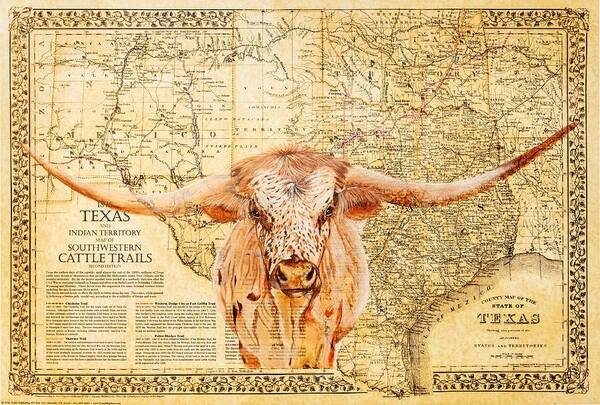 Map Poster featuring the photograph 1876 Cattle Trails, Longhorn Edition by Texas Map Store and Diane Fifer