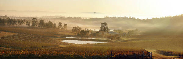 Hunter Valley Poster featuring the photograph Wine Country by Rick Drent