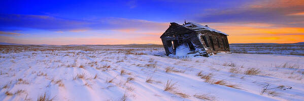 Winter Poster featuring the photograph Still Standing by Kadek Susanto