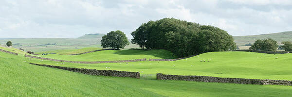 Panorama Poster featuring the photograph Yorkshire Dales Wensleydale Fields by Sonny Ryse