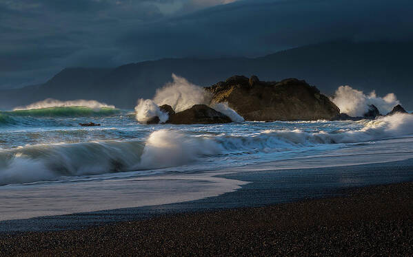 Oregon Poster featuring the photograph Beach in Oregon by Don Hoekwater Photography