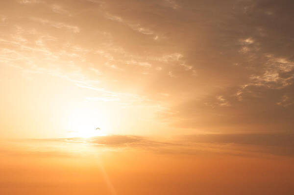 Sunrise Poster featuring the photograph Morning Gold by Ingela Christina Rahm