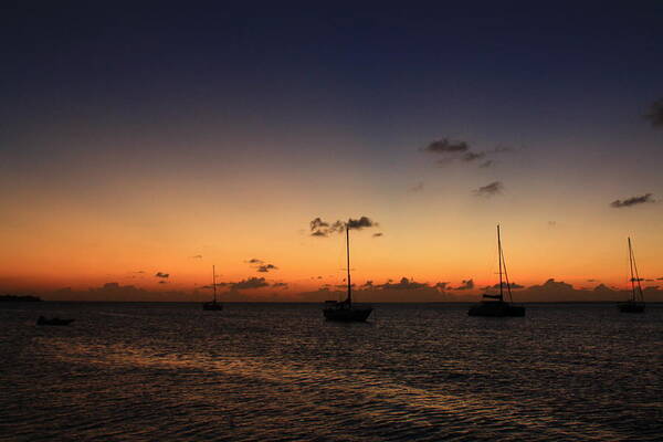 Sailboats Poster featuring the photograph Sunset #31 by Catie Canetti