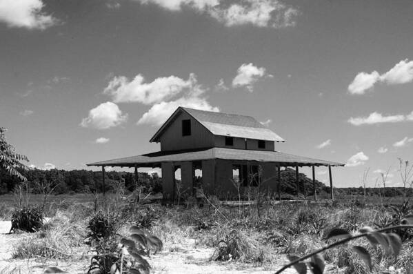 Grass Island Poster featuring the photograph Alone on the Island by Catie Canetti