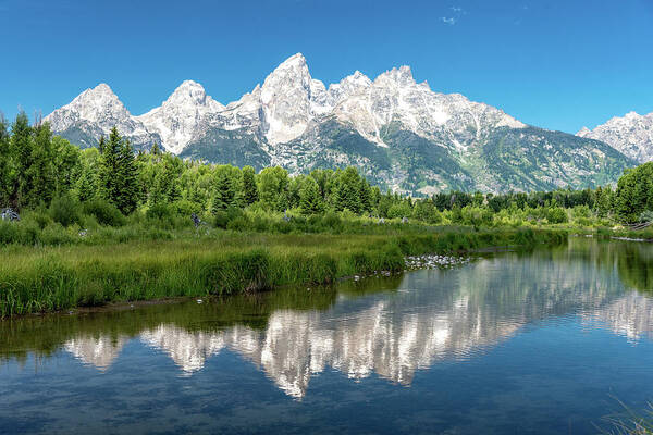 Grand Teton National Park Poster featuring the photograph 2018 Tetons- 3 by Tara Krauss