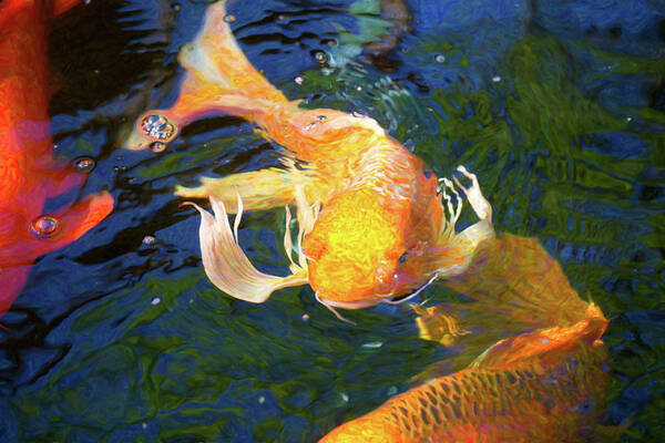 Koi Pond Fish Poster featuring the digital art Koi Pond Fish - Golden Surprises - by Omaste Witkowski by Omaste Witkowski