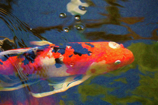 Painted Dreams Poster featuring the digital art Koi Pond Fish - Painted Dreams - by Omaste Witkowski by Omaste Witkowski