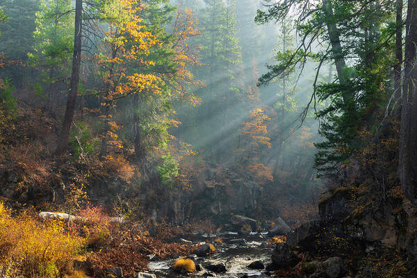 Mccloud Poster featuring the photograph Sunbeams on the McCloud River by Don Hoekwater Photography