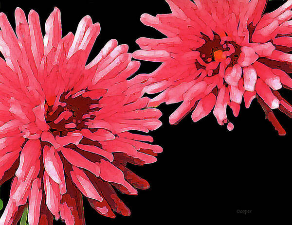 Sisters 5 Flower Plant Nature Peggy Cooper Cooperhouse Impressionist Impressionism Red Hot Pink Bold Digital Art Photography Poster featuring the digital art Sisters 5 by Peggy Cooper-Hendon
