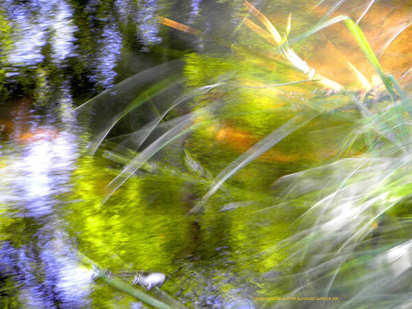 Artistis Photo Abstract Poster featuring the photograph Water and Wind by Alfonso Garcia