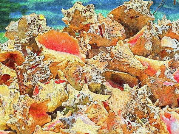 Conchs Poster featuring the digital art Beautiful Conchs Impressionism by Island Hoppers Art